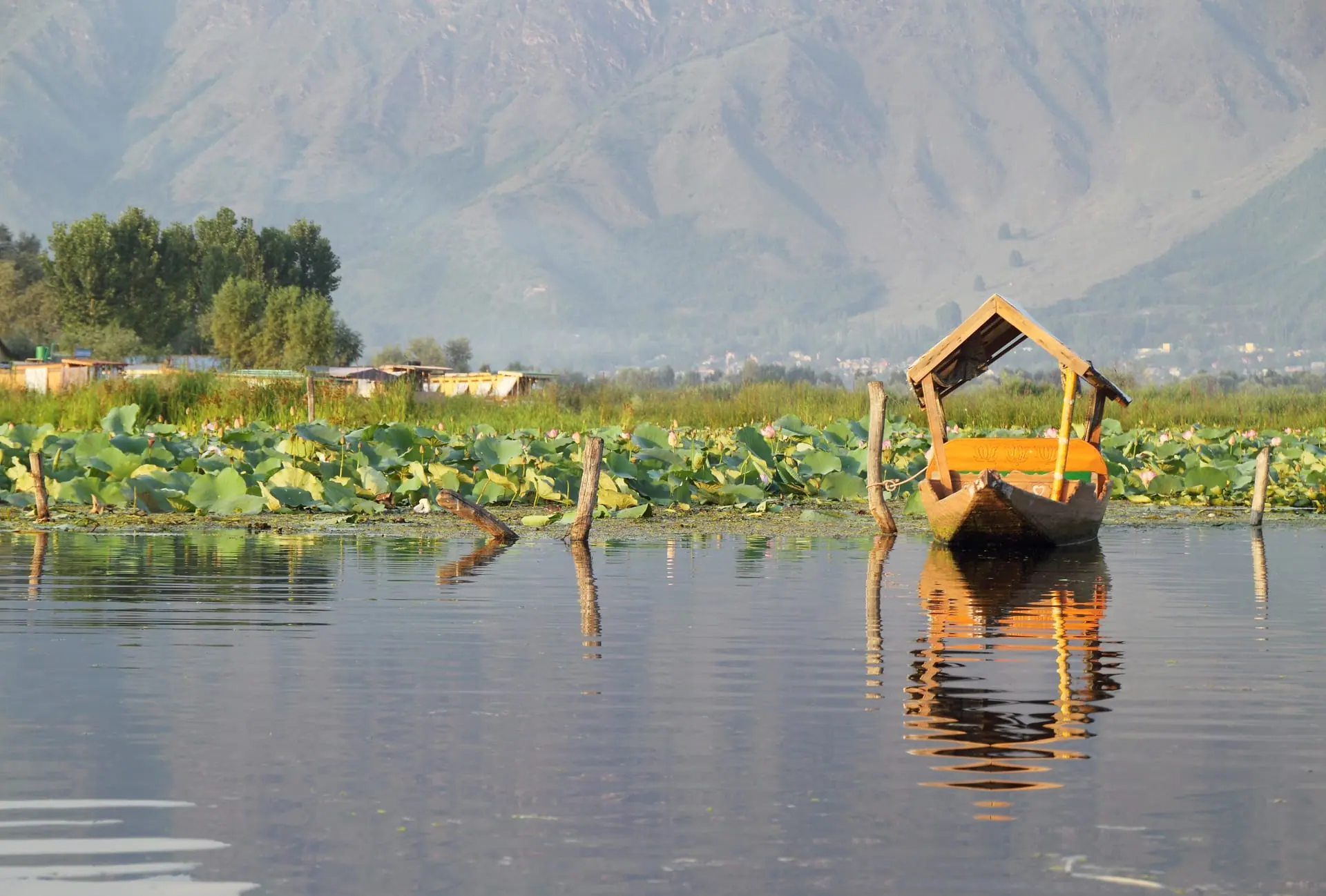A shikara gliding across Dal Lake